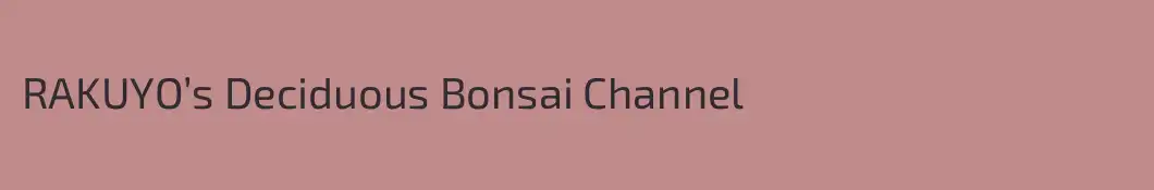 RAKUYO’s Deciduous Bonsai Channel